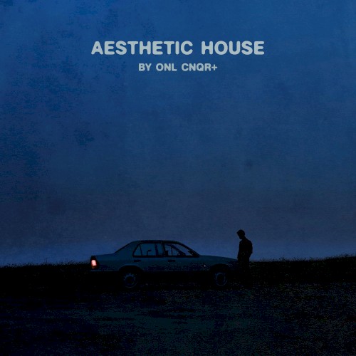 Aesthetic house