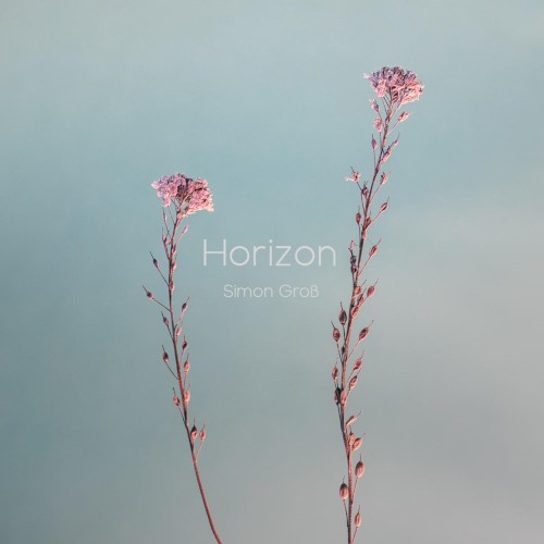 Horizon