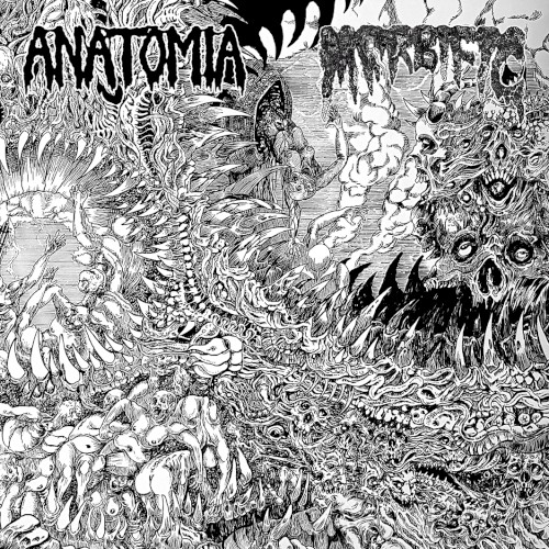 Anatomia / Morbific