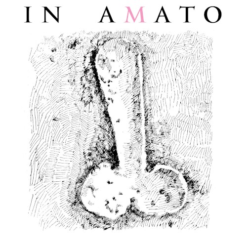 Consortium in Amato