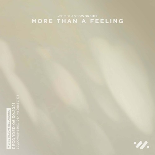 More Than a Feeling (live)