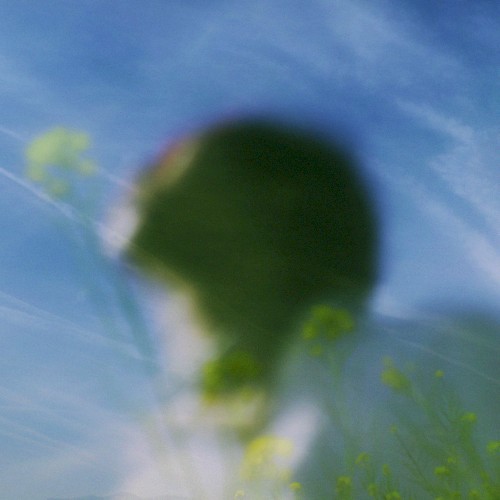 SLTF:AFTERIMAGES