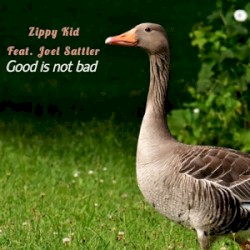 Good Is Not Bad