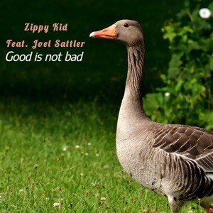 Good Is Not Bad