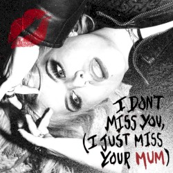 I Don’t Miss You (I Just Miss Your Mum)