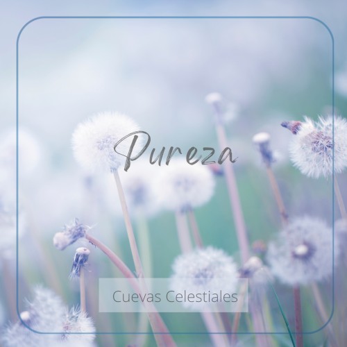 Pureza