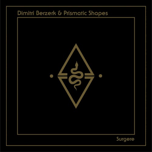 Surgere