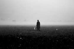 Reassuring Mist