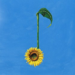 決意の朝に