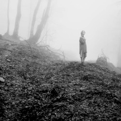 The Forest Calls Me Back Into Her Womb