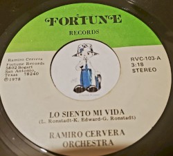 Lo siento mi vida / Sólo tuyo