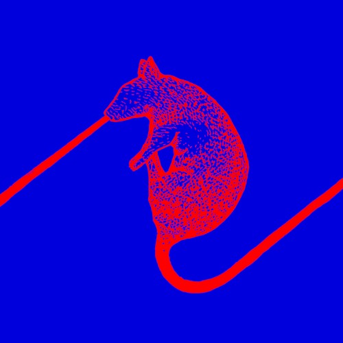 Rats Don’t Eat Synthesizers