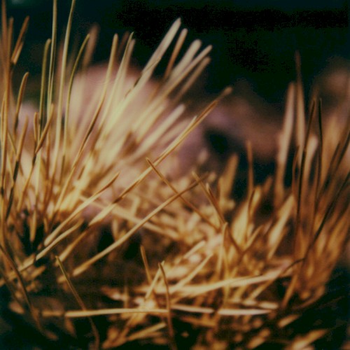 Kenopsia
