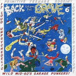 Back From the Grave, Volume 6