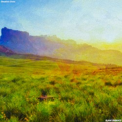 Sleepless Grass