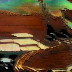 Papillon Sweets, More Ghouls