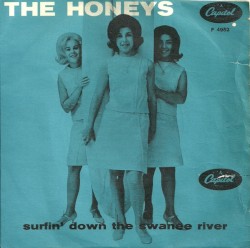 Surfin' Down The Swanee River