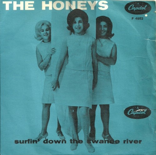 Surfin' Down The Swanee River