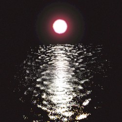 Moonrise