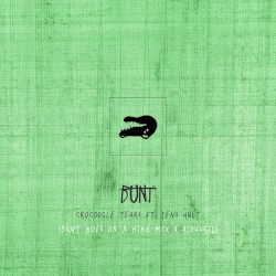 Crocodile Tears (remix and acoustic edit)