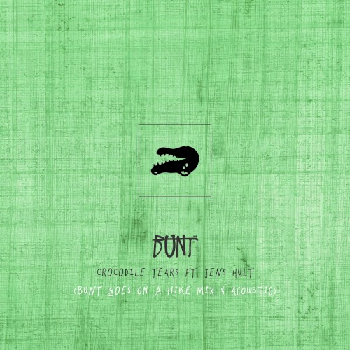 Crocodile Tears (remix and acoustic edit)