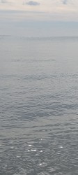 wavesound