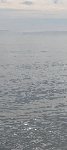 wavesound