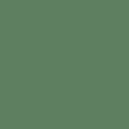 5e8061