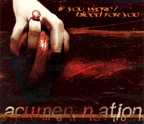 If You Were / Bleed for You