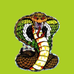 Live At Nate’s Snake Pit