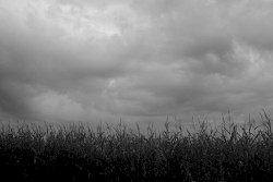 Down Deep South
