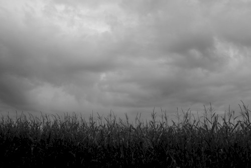 Down Deep South