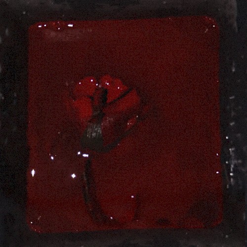Velvet Room