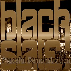 Peaceful Demonstration