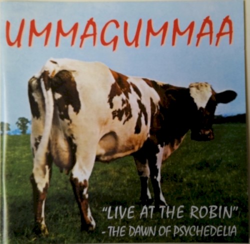 "Live at the Robin" - The Dawn of Psychedelia