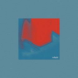 whale
