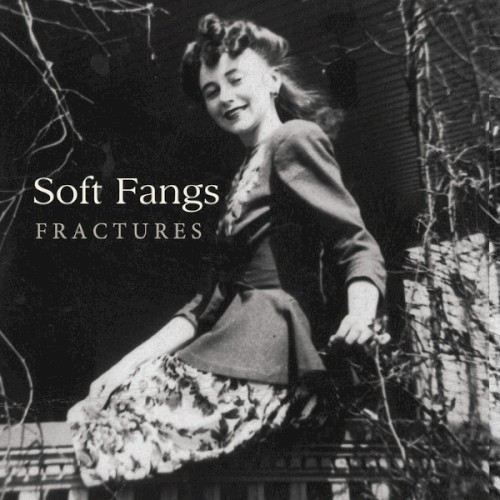 Fractures
