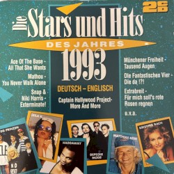 Die Stars und Hits des Jahres 1993