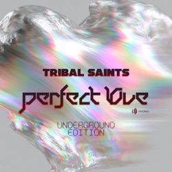 Perfect Love (Underground Edition)