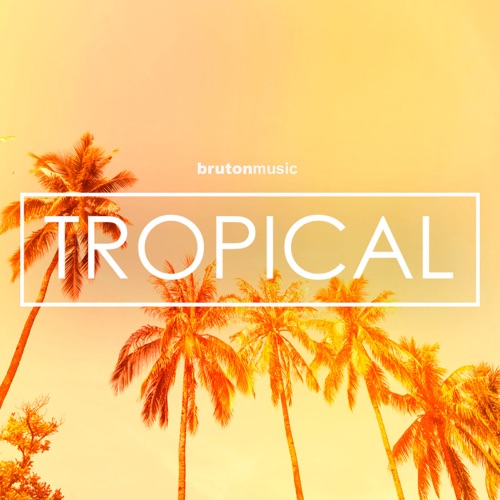 Tropical Fever