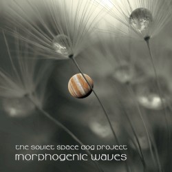 Morphogenic Waves