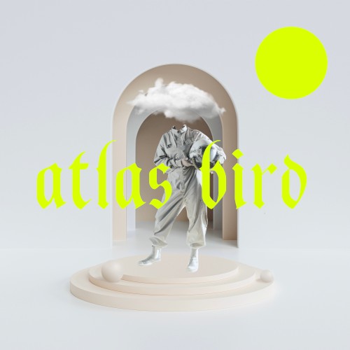 Atlas Bird
