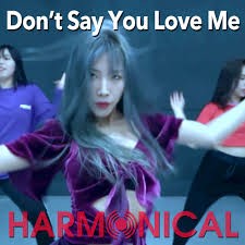 Don't Say You Love Me