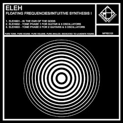 Floating Frequencies / Intuitive Synthesis I