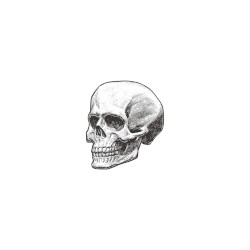 ♅