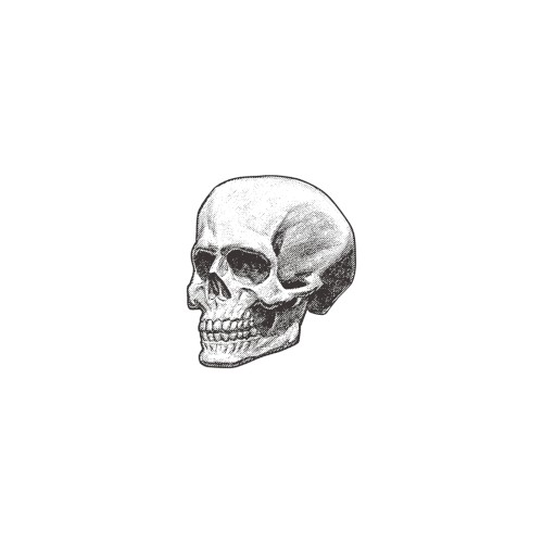 ♅