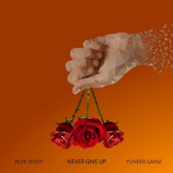 Never Give Up