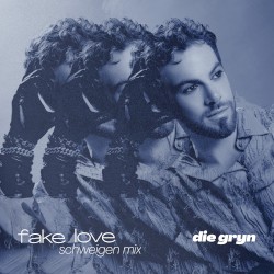 Fake Love (Schweigen Mix)