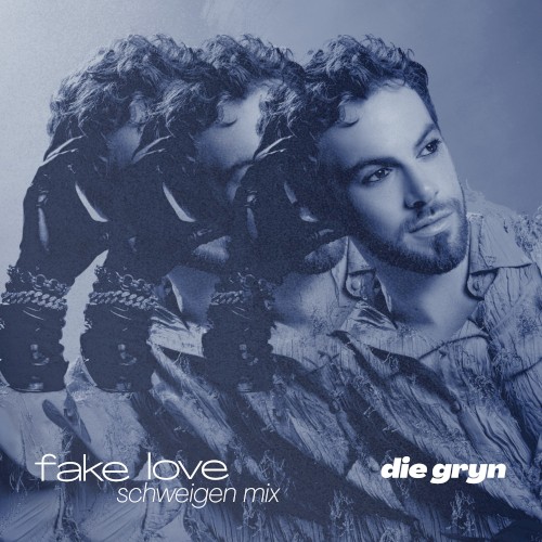 Fake Love (Schweigen Mix)