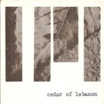 Kingdom / Too Far Gone